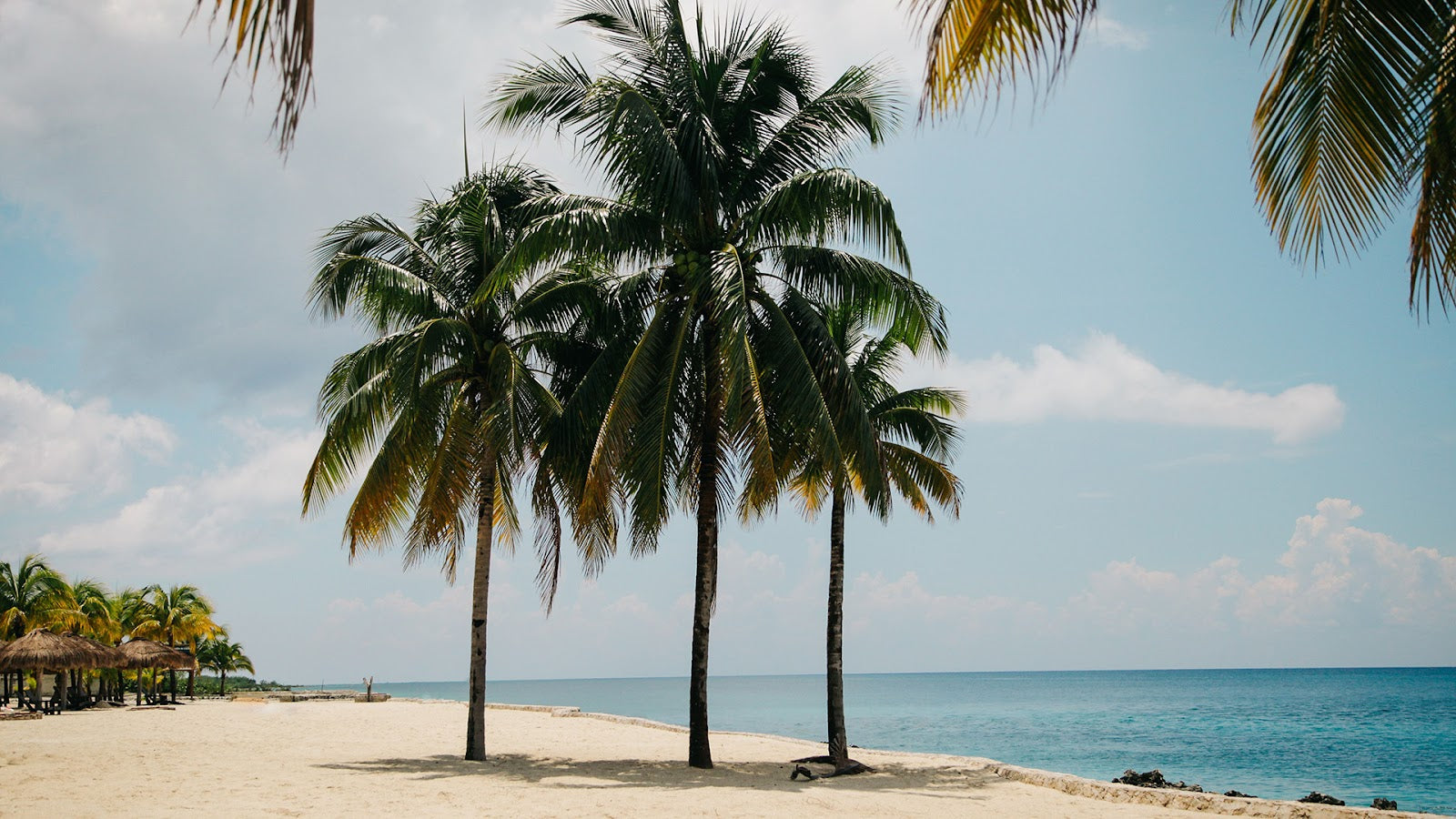 Crane Brothers | Panama Hat
