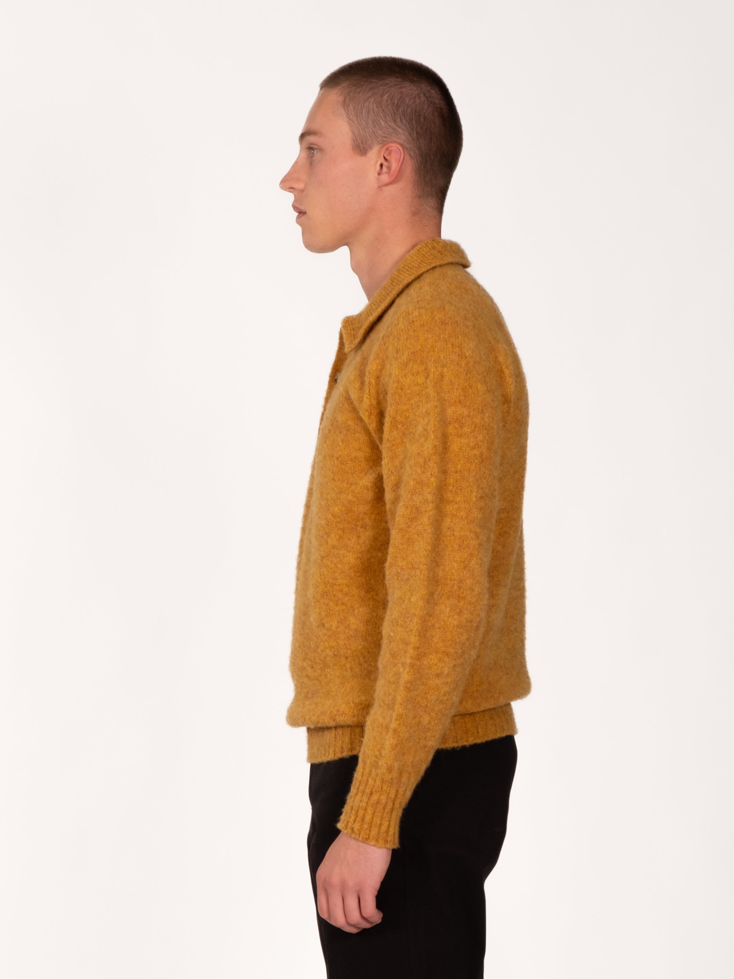 Heavy Gauge Shetland Polo - Cumin